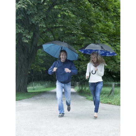 Parasol manualny (NAX-V4184-04)