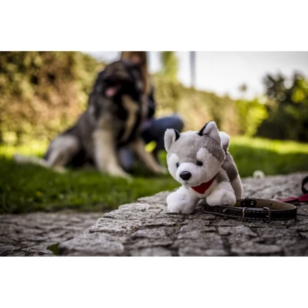 Pluszowy pies husky | Trooper (NAX-HE692-19)