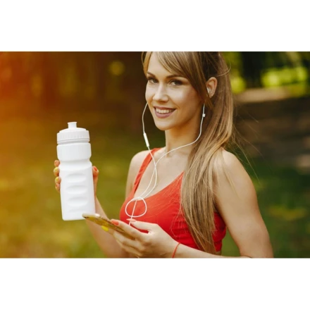 Bidon 500 ml | Ernest (NAX-V9875-02)