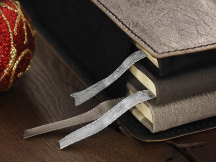 Etui na książkę 1758265 - szampański (NJG-1758265)