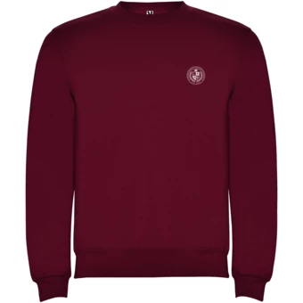 Bluza Clasica KIDS - 7/8 (NPC-K10702PG)