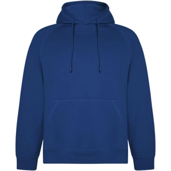 Vinson Kapuzenpullover aus Bio-Baumwolle Unisex - roly-L (NPC-R10744T3)